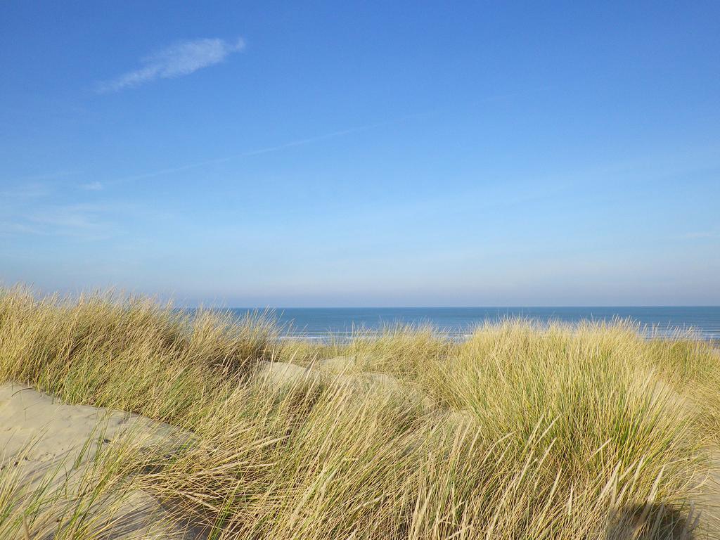 Evancy La Brise Des Dunes 브레뒨느 외부 사진
